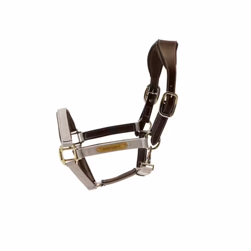 Kentucky anatomic nylongrimma