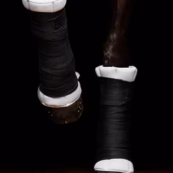 Incrediwear Circulation Standing Wrap 41 cm