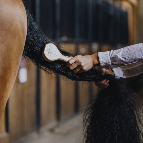 Grooming Deluxe Manborste