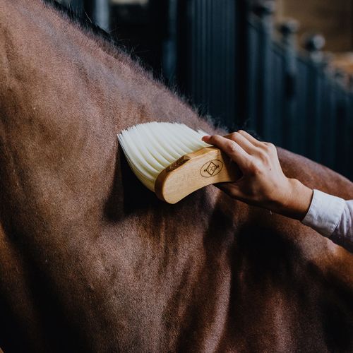 Grooming DeLuxe Borste Svängd Lång Natur