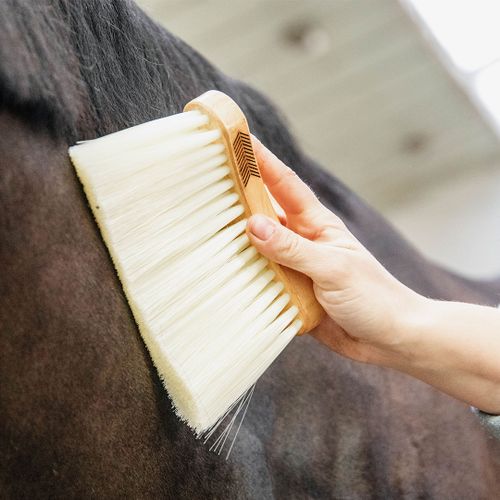 Grooming DeLuxe Borste Svängd Lång Natur