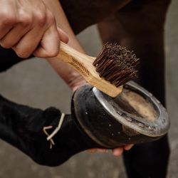 Grooming Deluxe Hovkrats