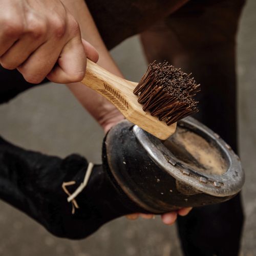 Grooming Deluxe Hovkrats