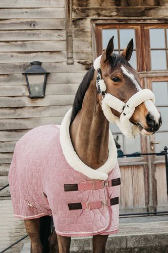 Kentucky Show Rug Velvet Old Rose