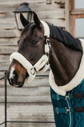 Kentucky Show Rug Velvet Emerald