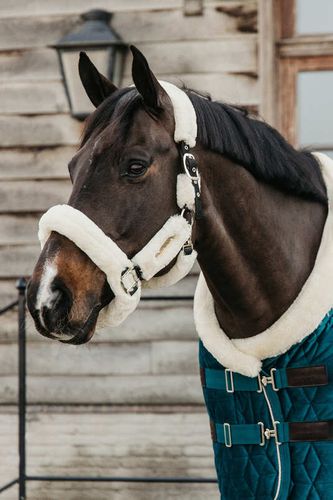 Kentucky Show Rug Velvet Emerald