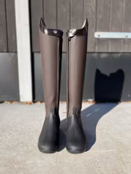 Dressage 135 Custo brown