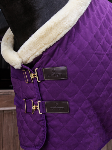 Kentucky Show rug 160g Royal purple