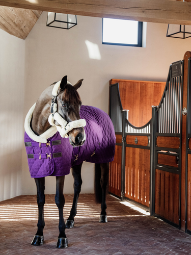 Kentucky Show rug 160g Royal purple