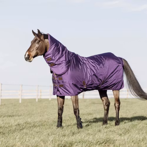 Kentucky Turn Out Rug All Weather pro 160G Royal Purple