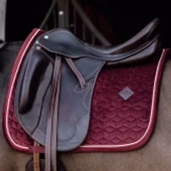 Kentucky Velvet borderux