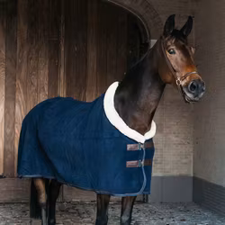 Kentucky fleece show rug "heavy" Navy