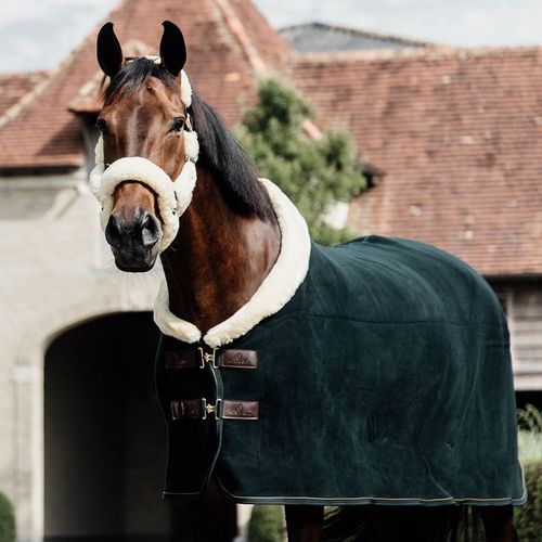 Kentucky fleece show rug "heavy" Pine Green