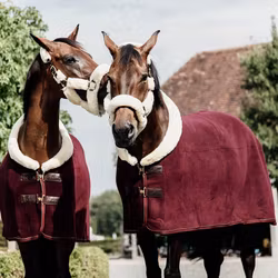 Kentucky fleece show rug "heavy" Bordeaux