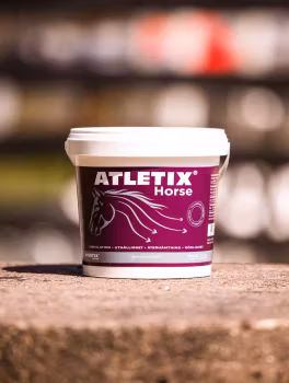 Atletix Horse