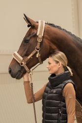 Eskadron Hertinge 24/25 Faux Fur Almond