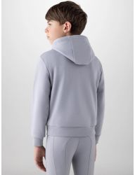 Equiline Hoodie Grå
