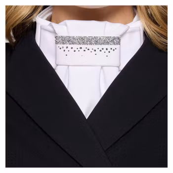 Samshield Premium Rain Light Crome