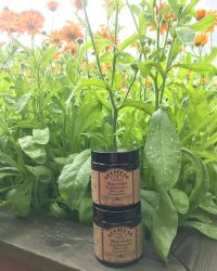 Klockargårdens Apotekar Mästersalva - Ringlomssalva (med doft) 120ml