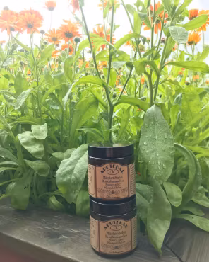 Klockargårdens Apotekar Mästersalva - Ringlomssalva (med doft) 120ml