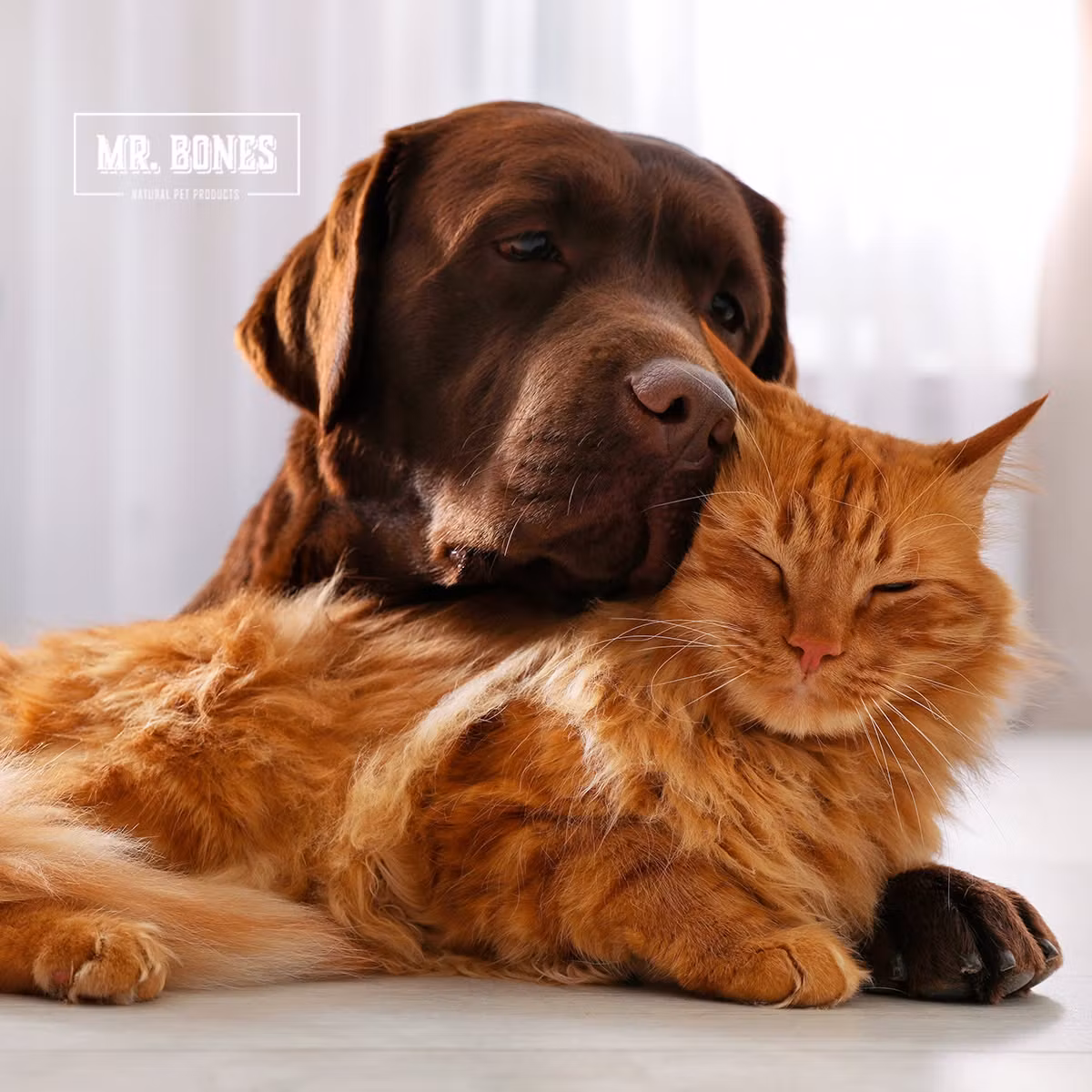 Mr. Bones Tunfiskolje 250ml