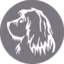 Trixie Striglekniv Lange Tenner - Fur Detangler