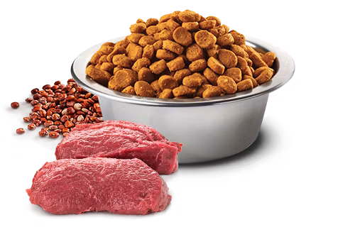 Farmina N&D Dog Quinoa Skin & Coat, Venison & Coconut Adult All Breeds 7 Kg