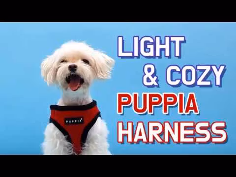 Puppia Soft Sport Harness B Lyseblå / Sky Blue