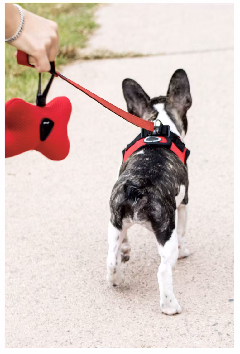 Puppia Two Tone Lead Oransj / Orange Kobbel
