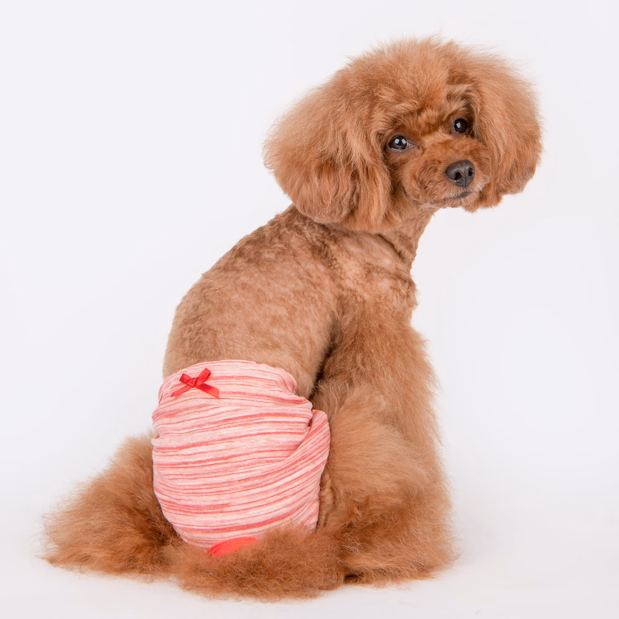 Puppia Florine Tispetruse Rød