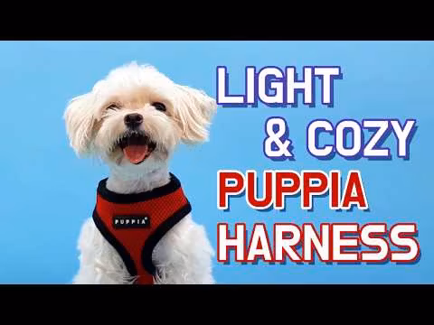 Puppia Crayon Harness A Blå / Navy