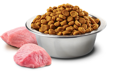 Farmina Medium og Store Voksne Hunder Villsvin, Gresskar og Eple - N&D Dog Pumpkin Wild Boar & Apple Adult Medium & Maxi 12 Kg