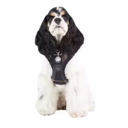 TEST Puppia Kemp Harness A Beige/Navy/Grey XL