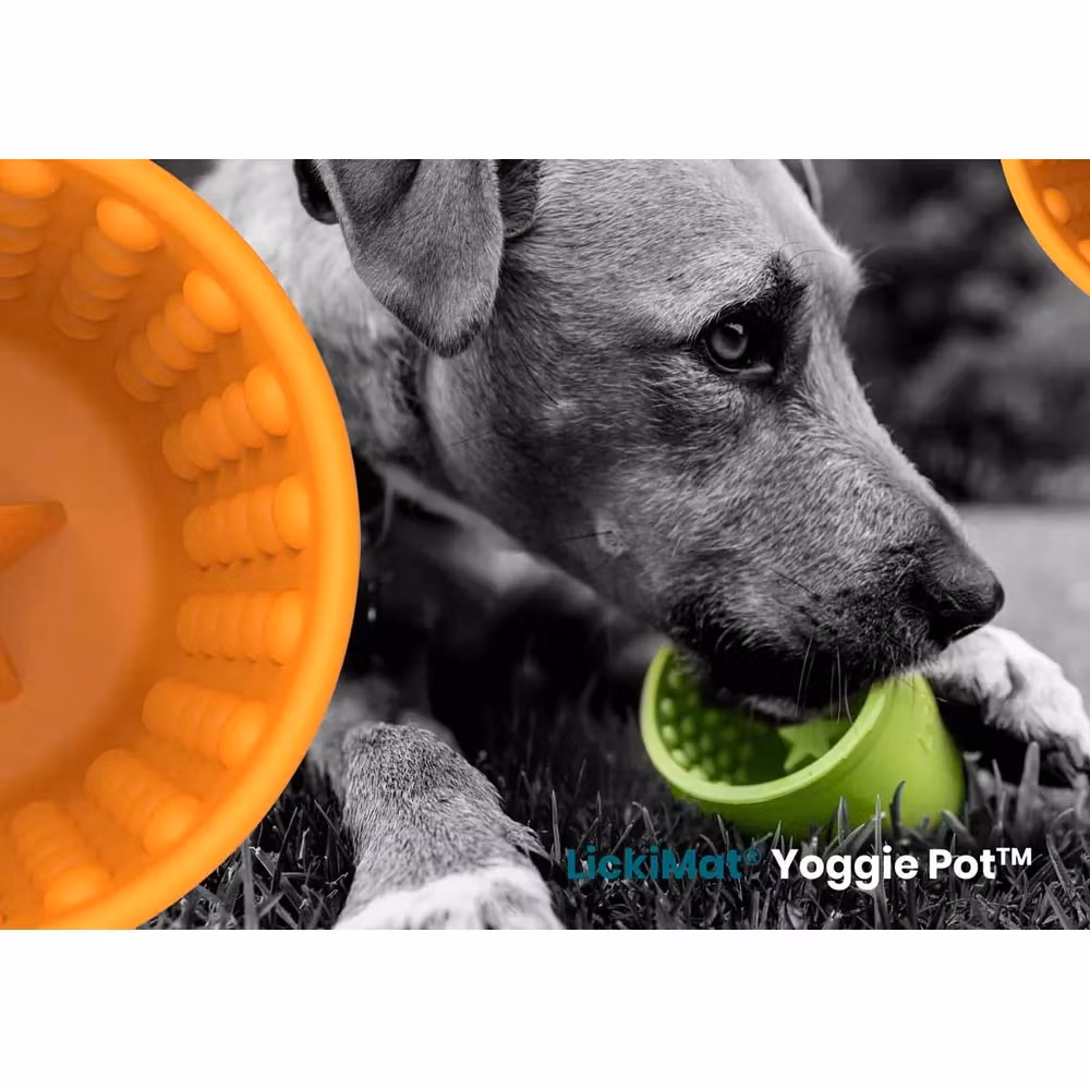 Lickimat Yoggie Pot Oransje Hundeskål