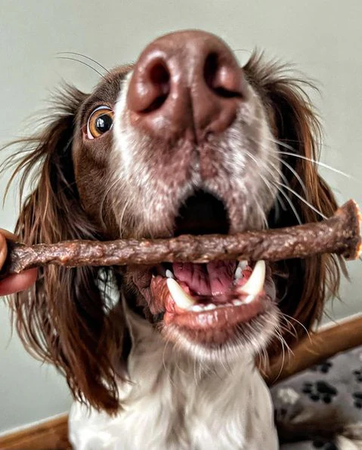 JR Pure Lamb Sticks 50g