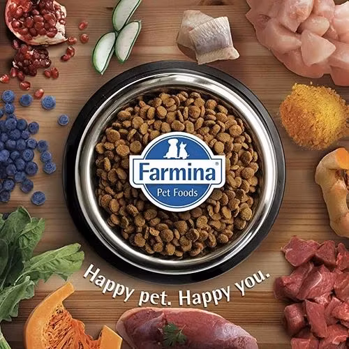 Farmina N&D Dog Pumpkin Lamb & Blueberry Puppy Medium & Maxi 12 Kg