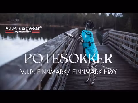 VIP Potesokk FINNMARK Høy 4-pk