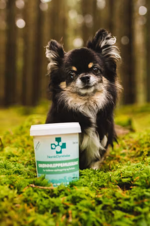 ND Grønnleppe- mussling 360tab