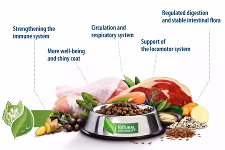 Happy Dog Goood Winter Snack Lam & Vinterbær 100g 30%