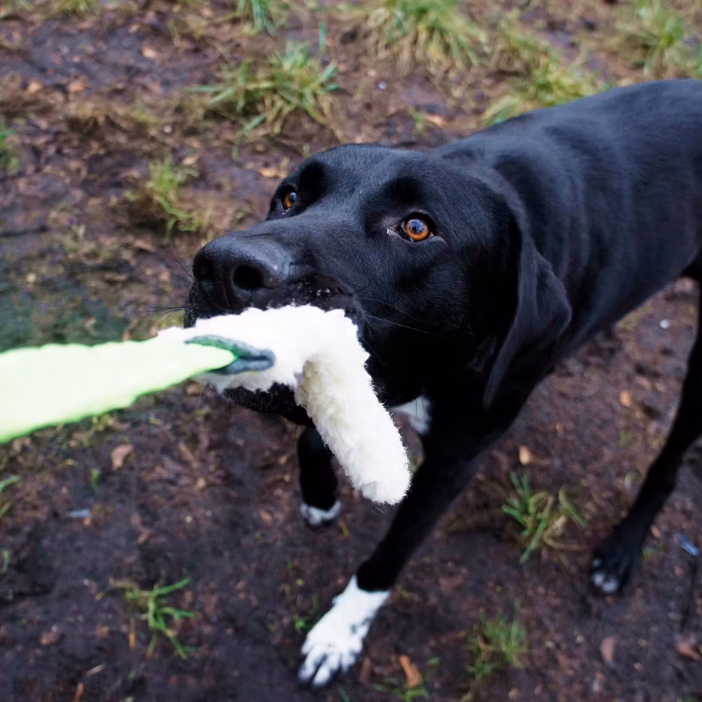 Dingo Draleke m/strikk og "ull" grønn ca 55 cm