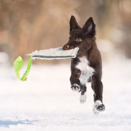 Dingo Draleke m/strikk og "ull" grønn ca 55 cm