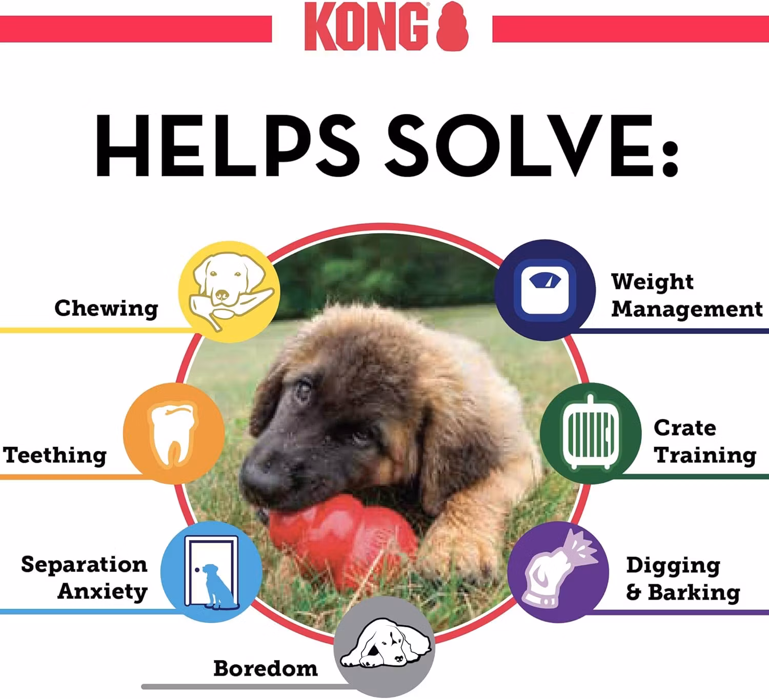 KONG Puppy