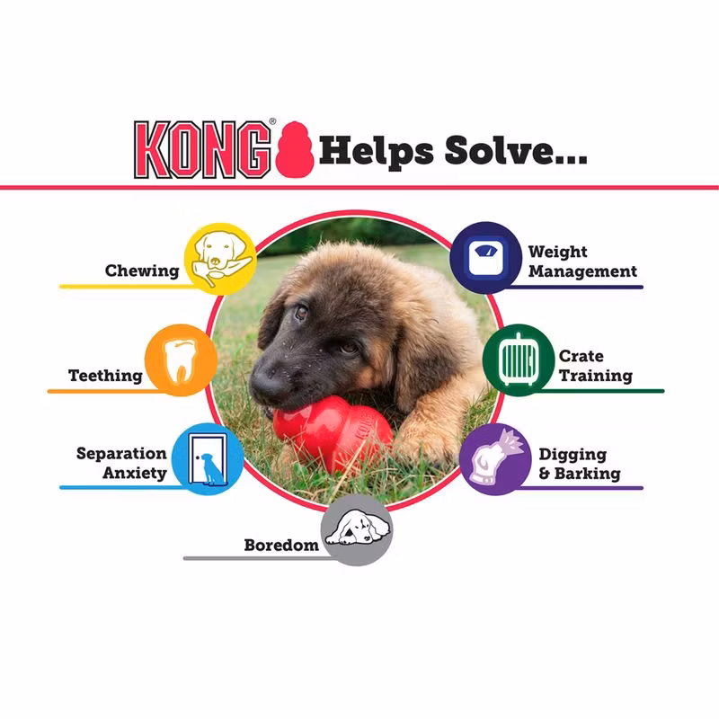 KONG Ringaroos Gris  M