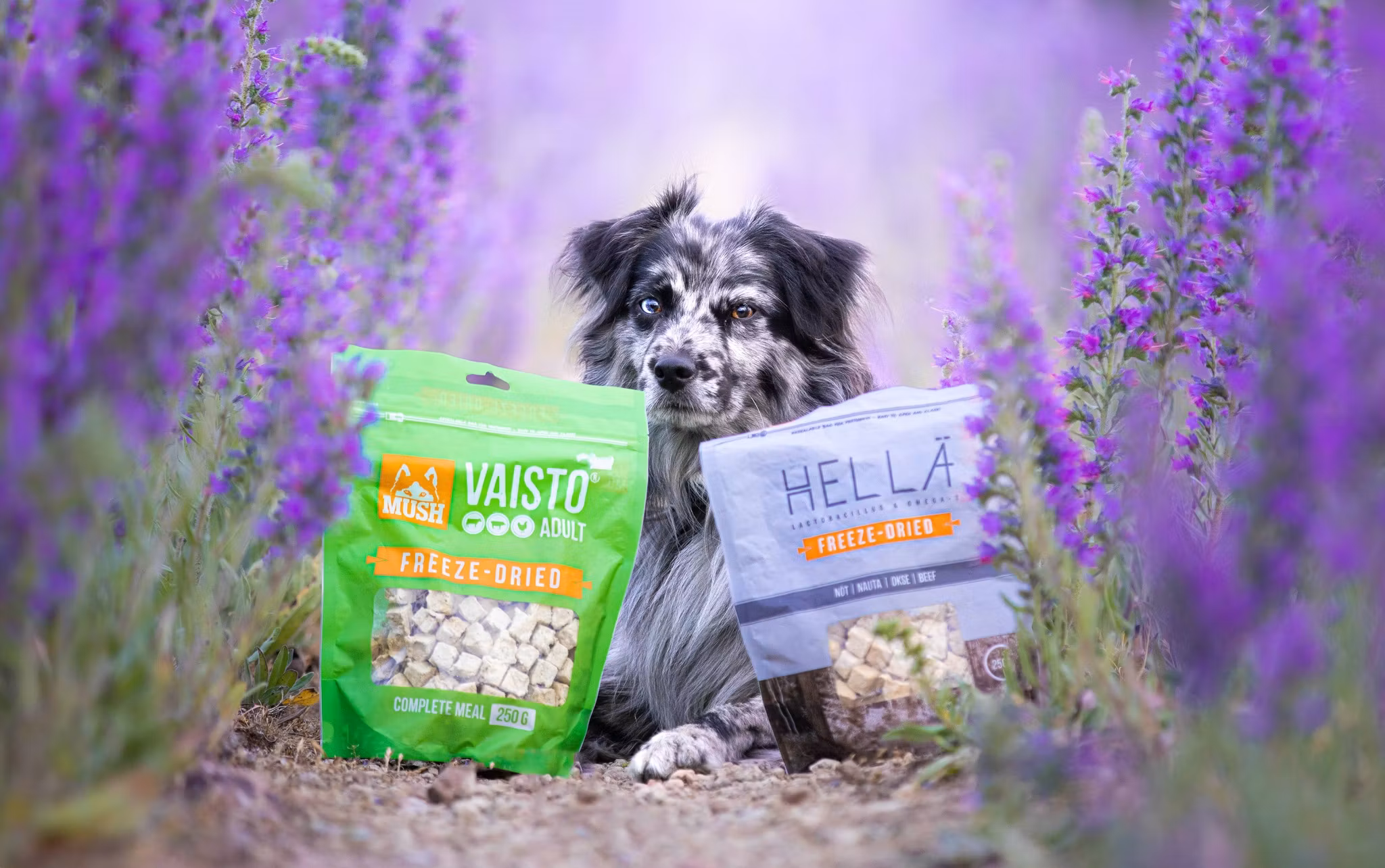 Kopi MUSH Hellä Freeze-Dried® Frysetørket Storfe 250g
