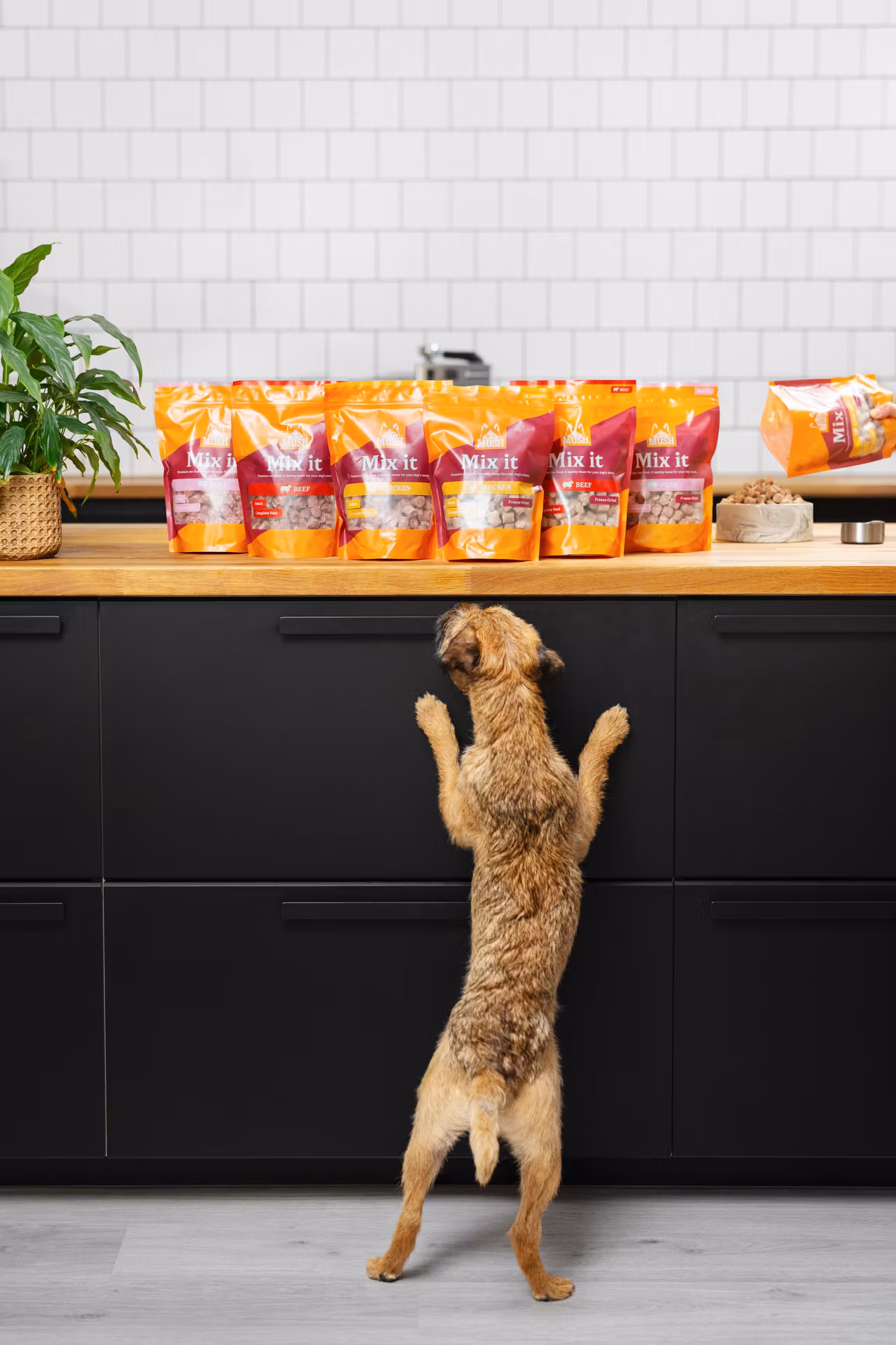 MUSH Mix it – Freeze-Dried Kylling 200g - Bestillingsvare