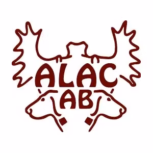 Alac Halvstrup Lær Mørk Brun Justerbar