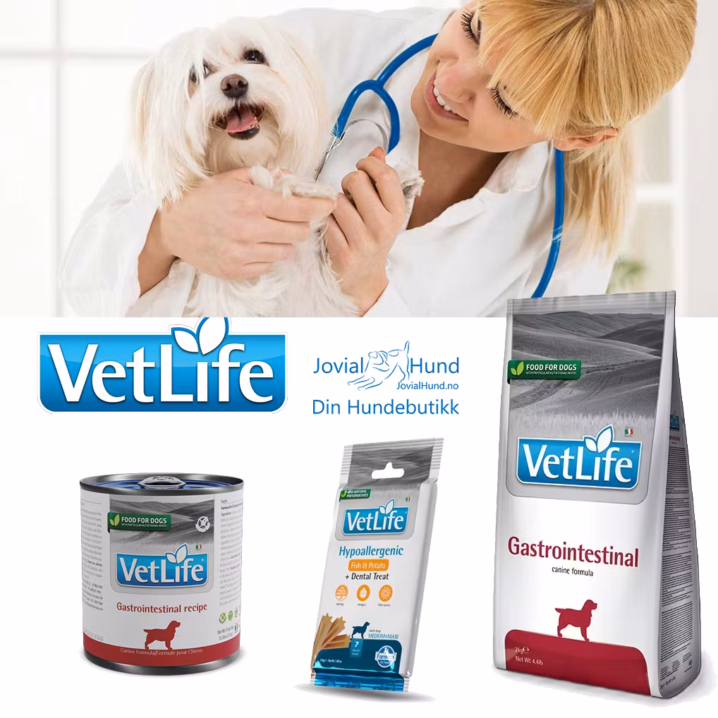 Kopi Farmina Vet Life Natural Diet Dog Gastrointestinal 300gr Boks