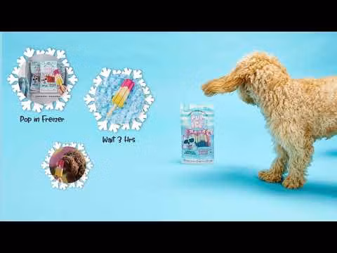 Pup Ice Fruity Lollies 3pk 90g Ananas