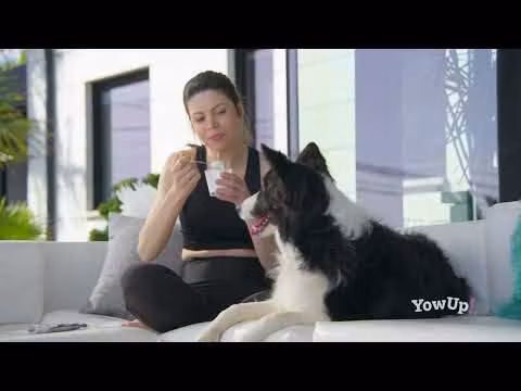 YowUp Yogurt SKIN AND HAIR DOG 115g