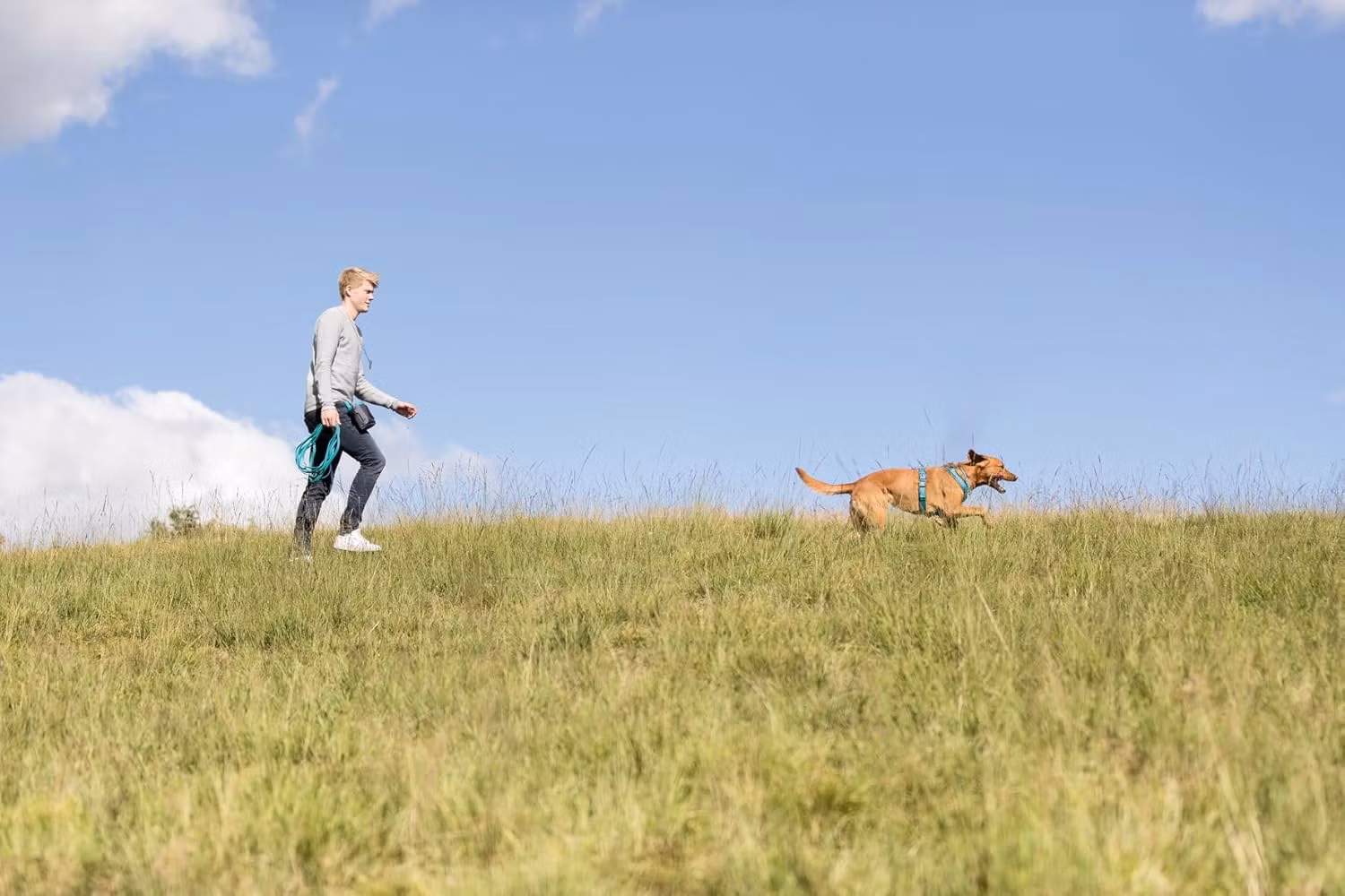 Trixie Easy Life Grip Sporline - Tracking Lead